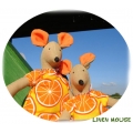 Myszka pomarańczowa orange mouse